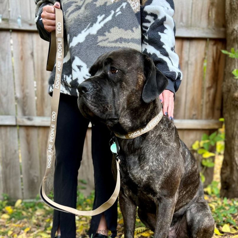 egynemű Merrell szépia árnyalat nyakörv kiegészítők H06N0271