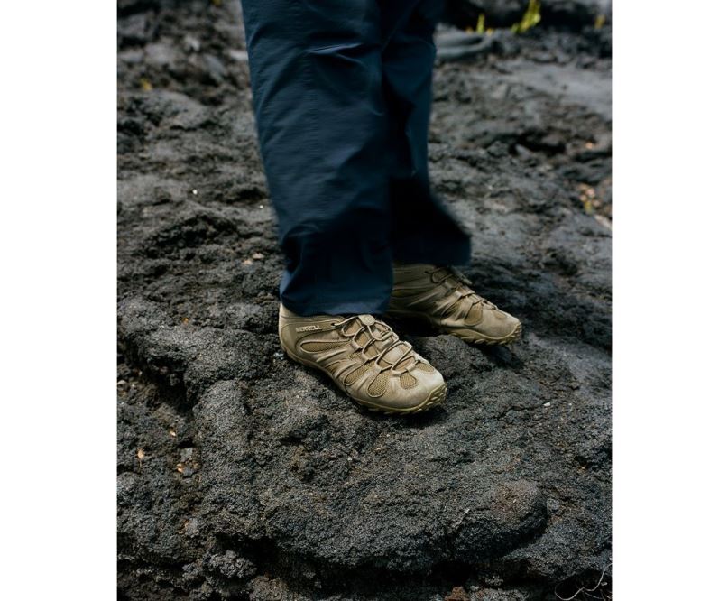 férfiak Merrell sötét olajbogyó cham 8 stretch taktikai cipő H06N0481